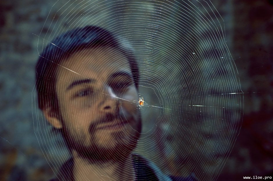 spiderman portrait