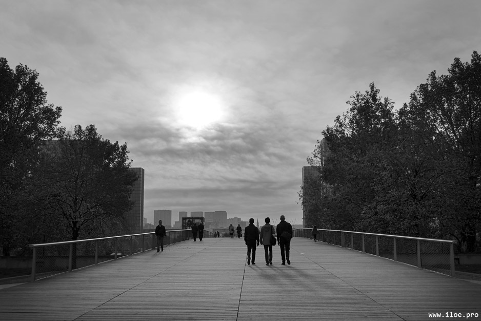three shadows